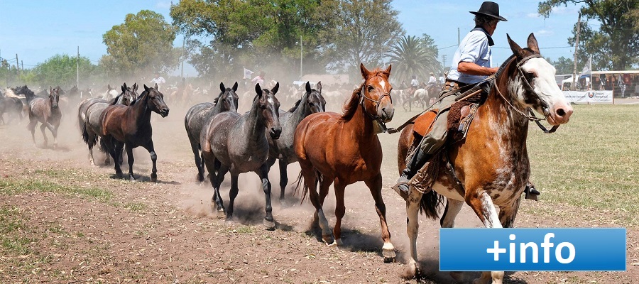 Festa Gaucha Buenos Aires