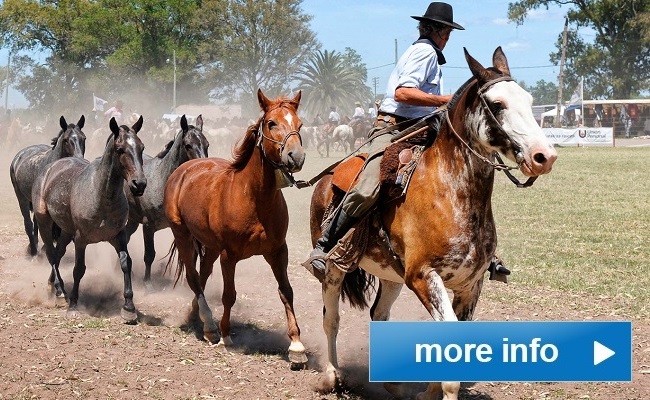 Gaucho Party and Ranch Tour