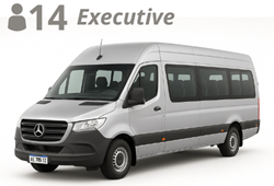 MINIBUS, up to 14 passengers with luggage