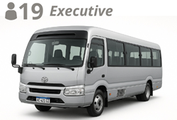 LARGE MINIBUS, up to 19 pax with luggage