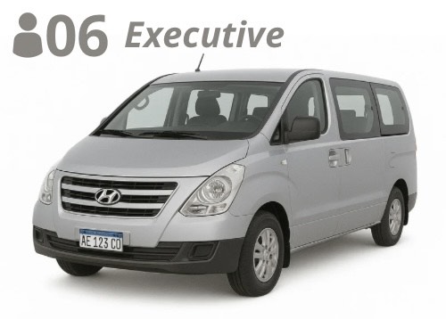 MINIVAN, up to 6 passengers with luggage