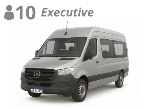 VAN, up to 10 passengers with luggage