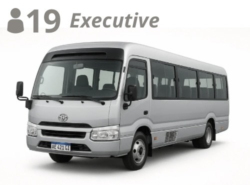 LARGE MINIBUS, up to 19 pax with luggage