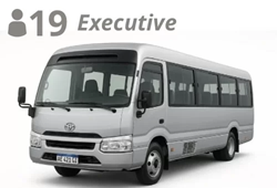 LARGE MINIBUS, up to 19 pax with luggage